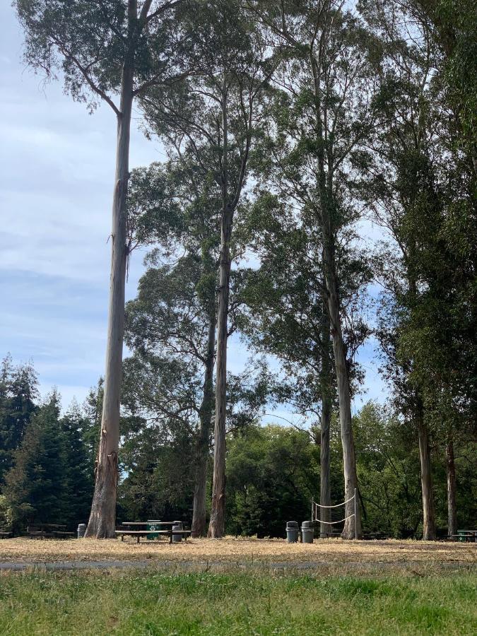 Your Most Romantic And Peaceful Getaway El Sobrante Extérieur photo